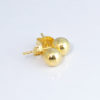Aretes Lisa Med